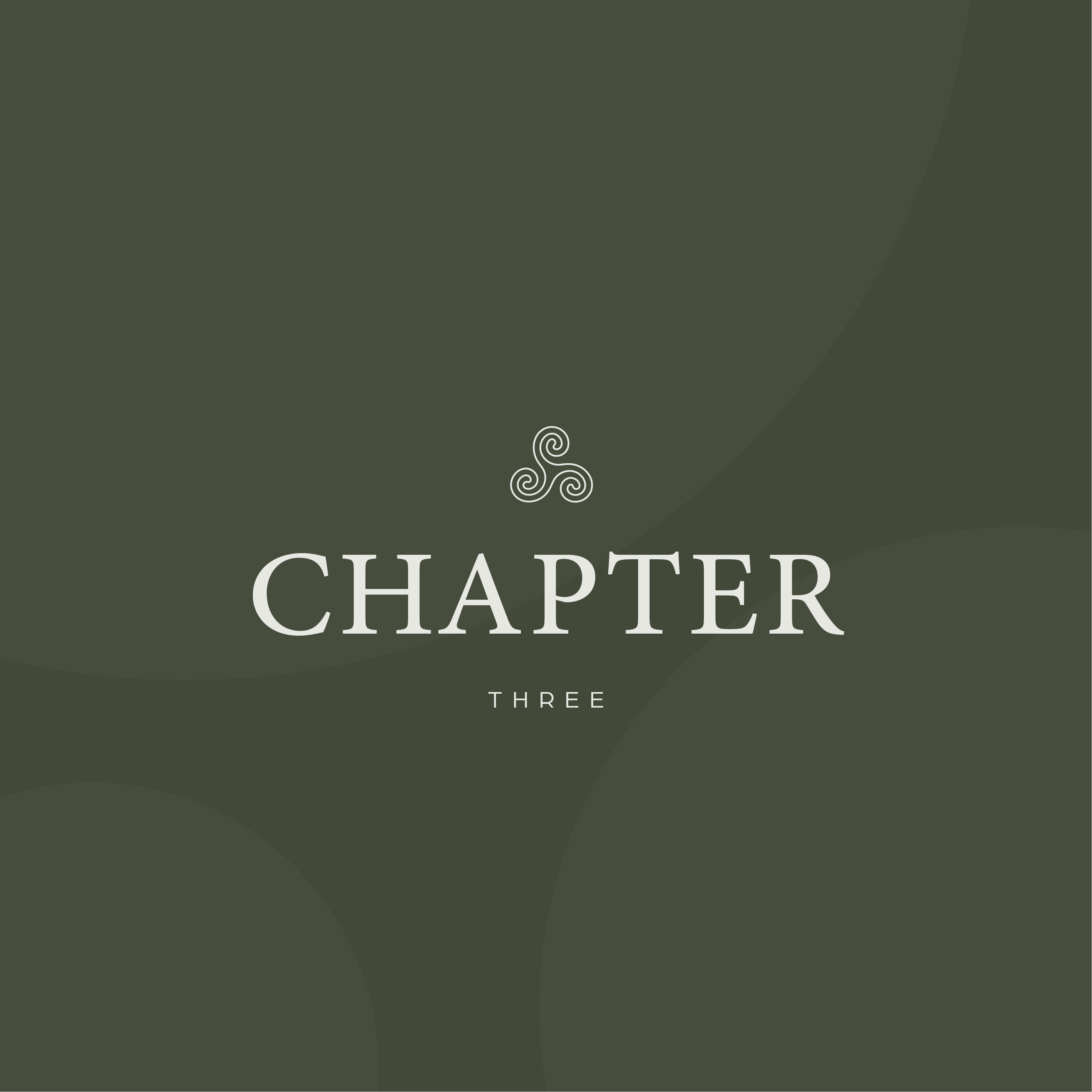 Chapter Three logo design variation